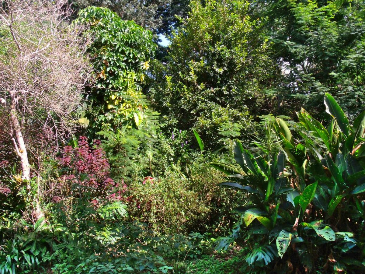 Hotel Curitiba Campo Comprido Εξωτερικό φωτογραφία