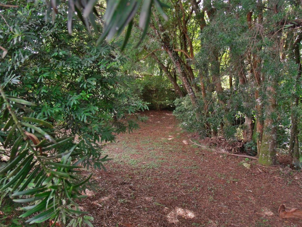 Hotel Curitiba Campo Comprido Εξωτερικό φωτογραφία